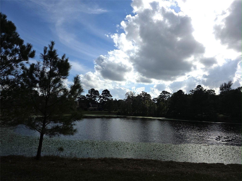 427 Vane Way - Photo 16