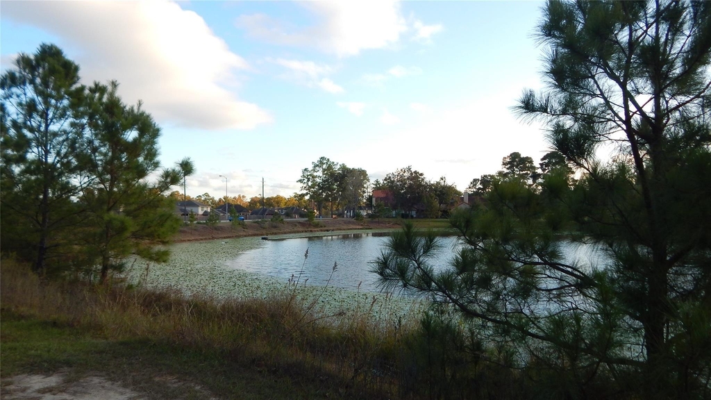 427 Vane Way - Photo 14