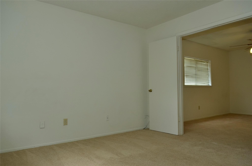 10094 Ash Fork Drive - Photo 17