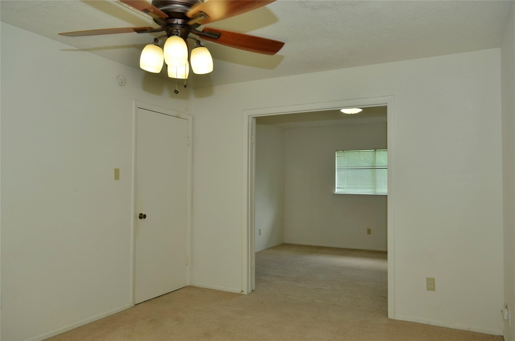 10094 Ash Fork Drive - Photo 13