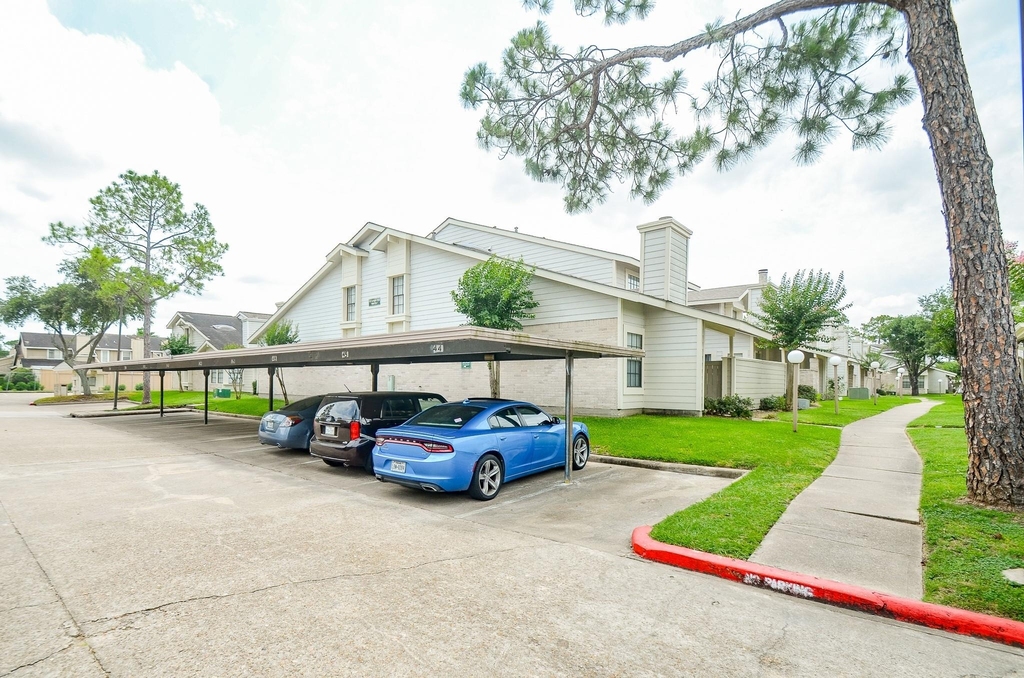 6211 Ludington Drive - Photo 4
