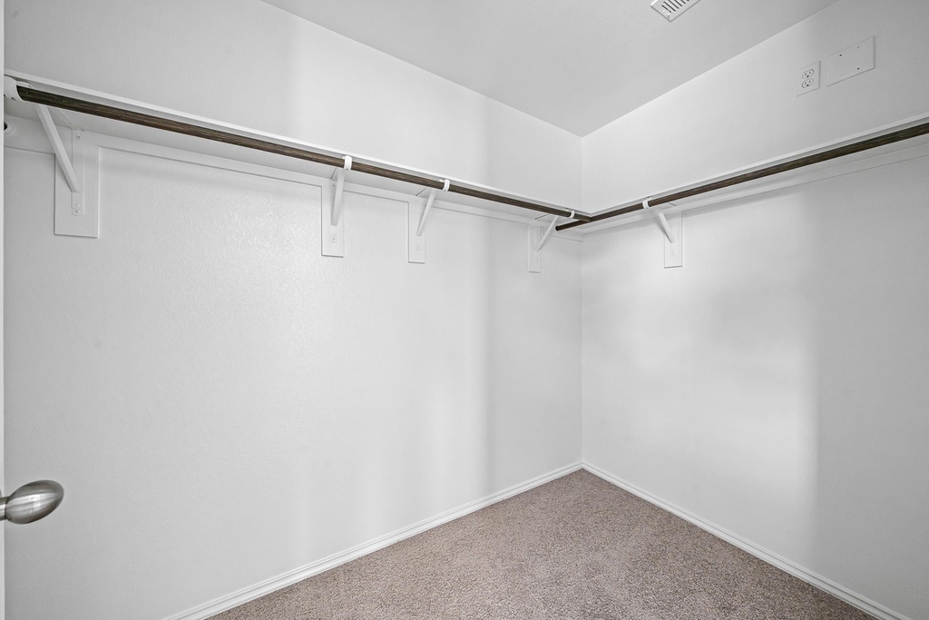 21215 Trumpet Lily Trail - Photo 25