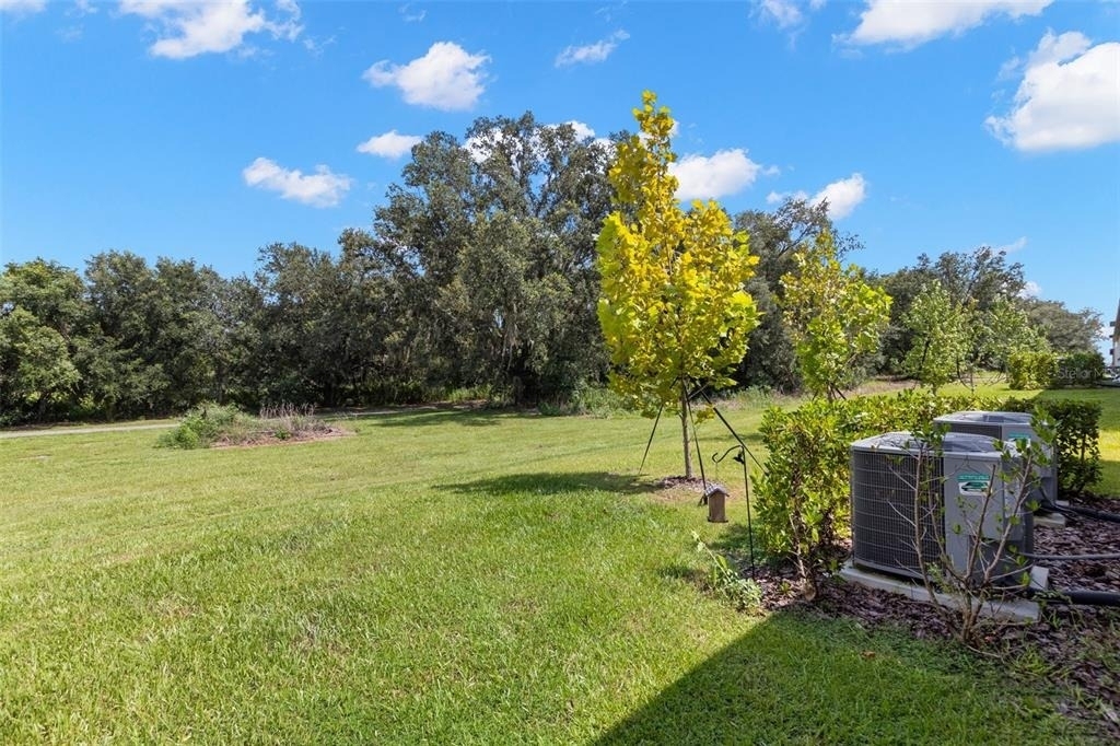 10324 Trumpet Honeysuckle Way - Photo 16