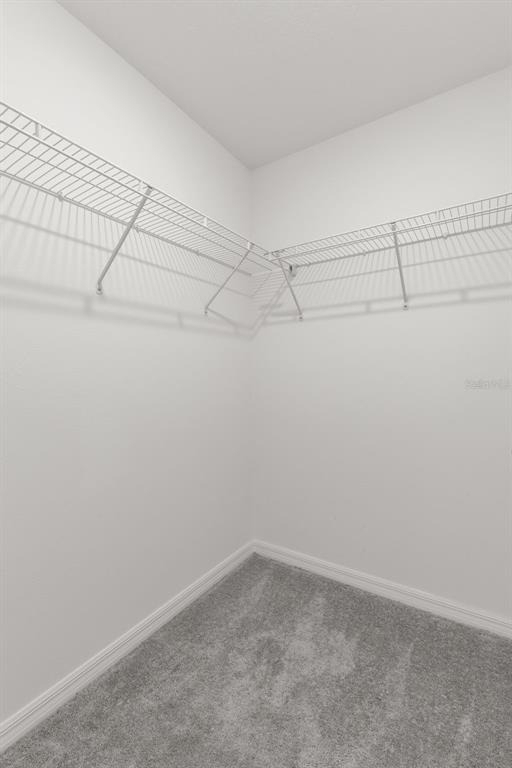 10324 Trumpet Honeysuckle Way - Photo 29