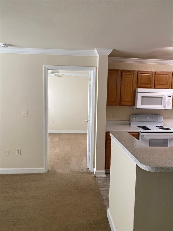 18209 Bridle Club Drive - Photo 4