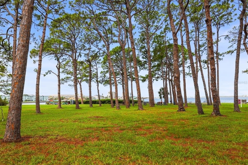 2700 Bayshore Boulevard - Photo 57