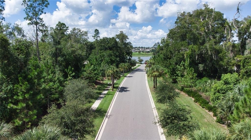 2949 Muller Oak Loop - Photo 18