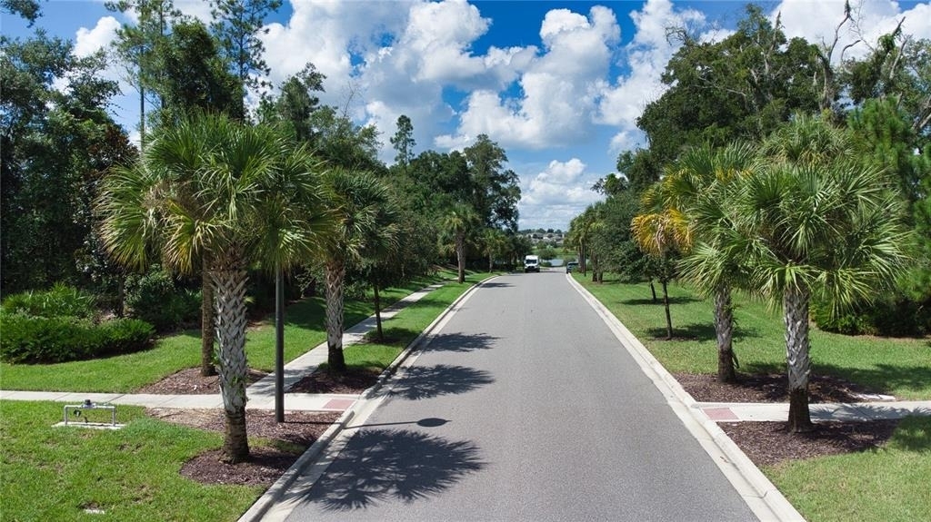 2949 Muller Oak Loop - Photo 22