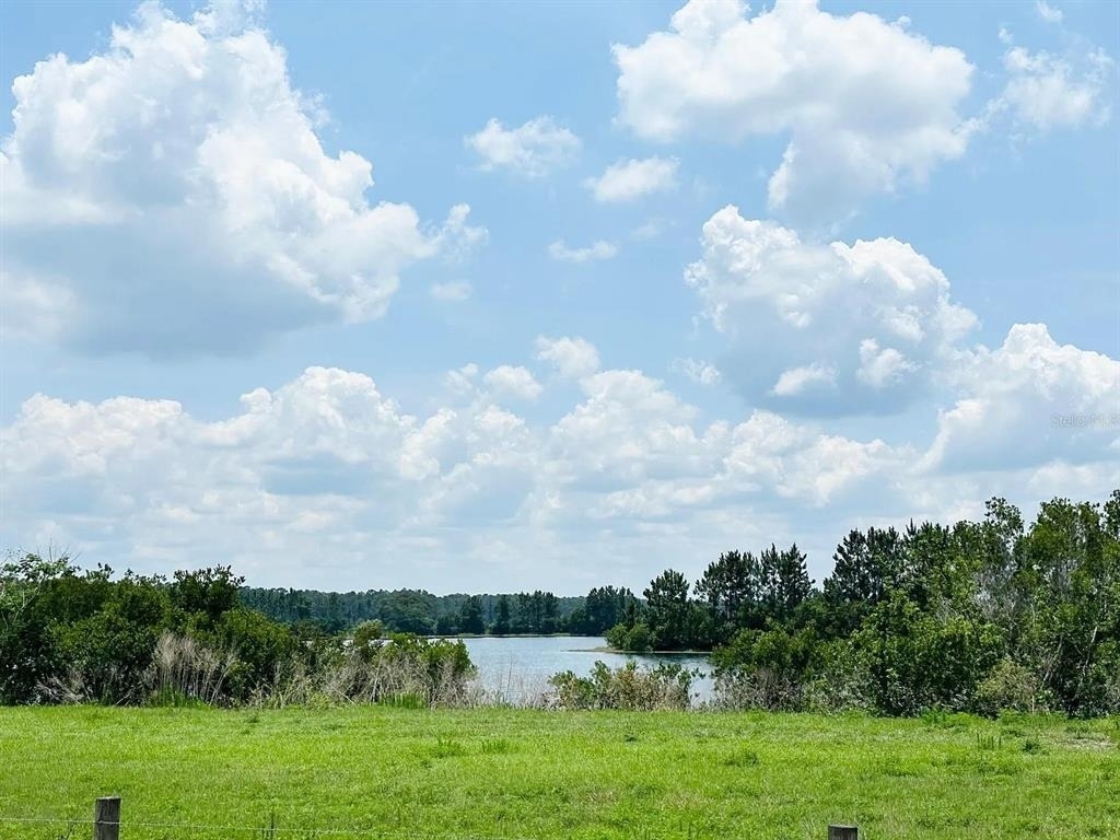 451 Whistling Duck Trail - Photo 23