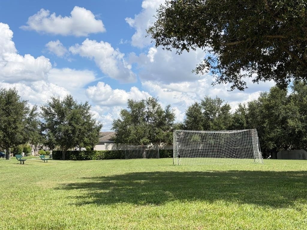 913 Berry Leaf Court - Photo 23