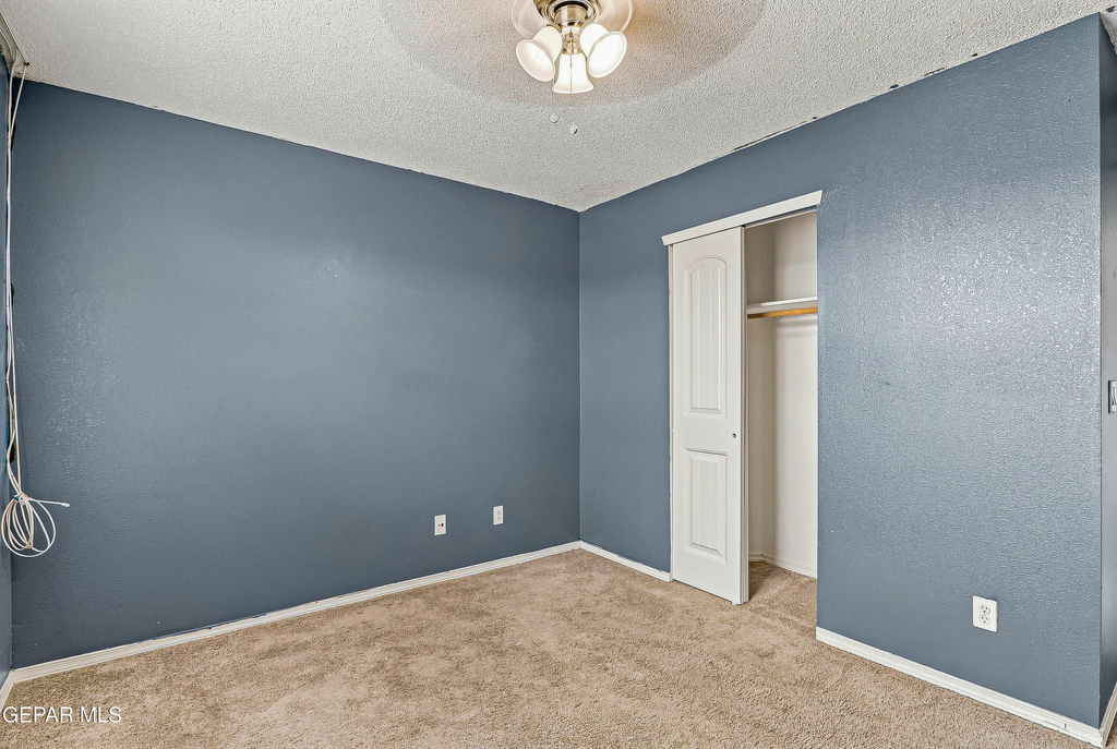 11412 Flor Veronica Drive - Photo 33