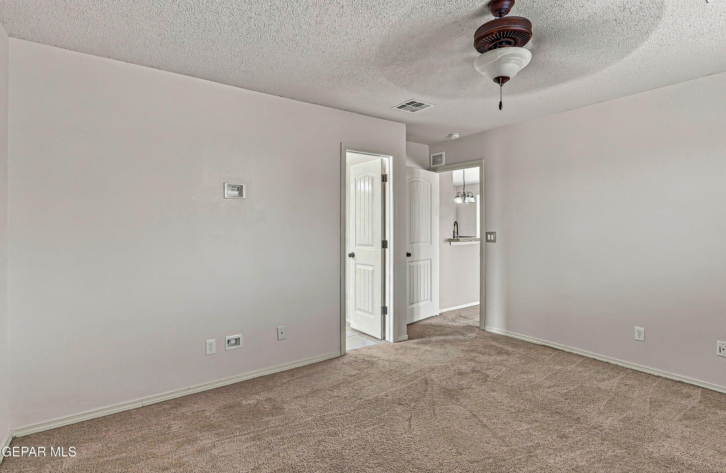 11412 Flor Veronica Drive - Photo 5