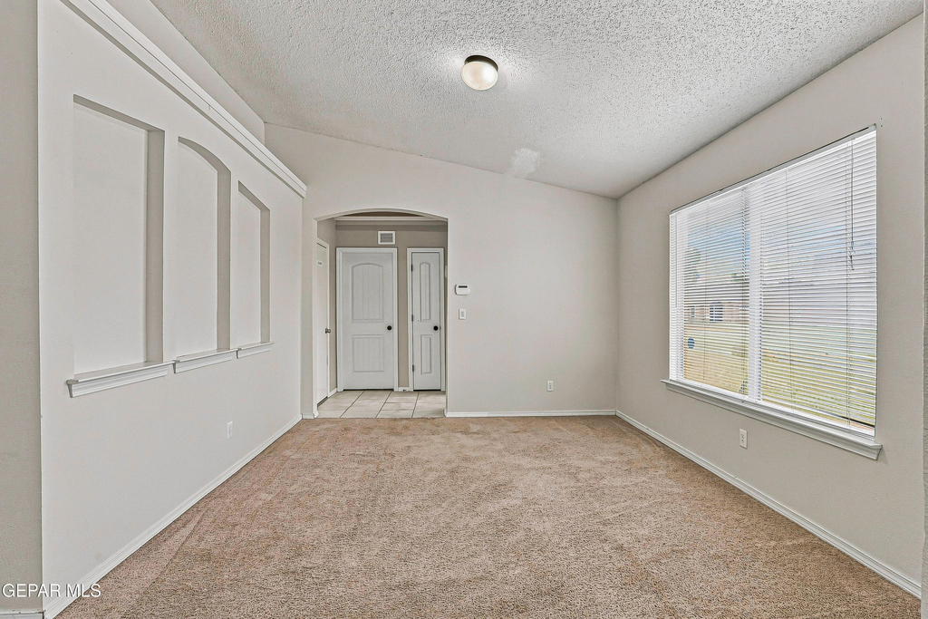 11412 Flor Veronica Drive - Photo 30