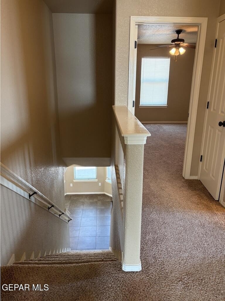7029 Copper Town Drive - Photo 23