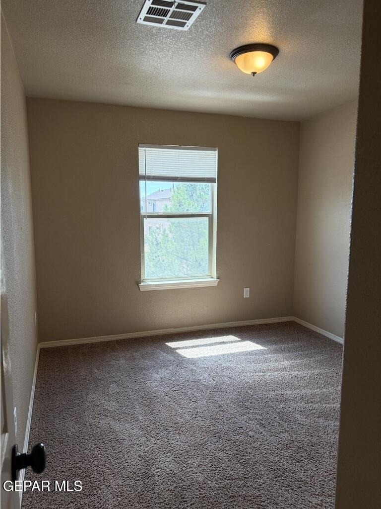7029 Copper Town Drive - Photo 24