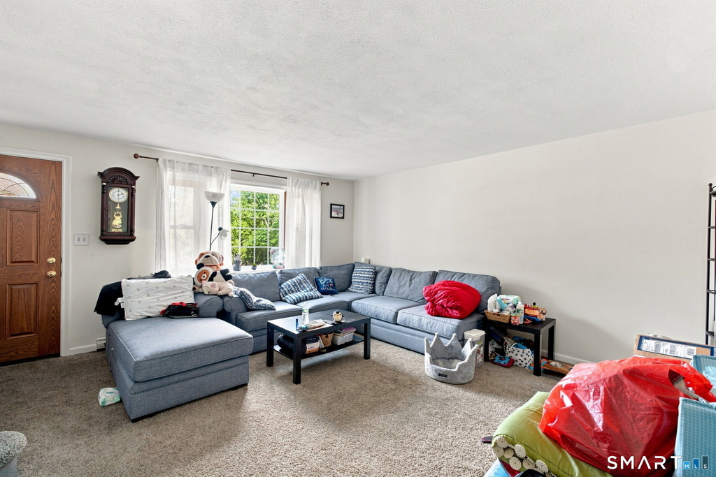 12 Towne House Lane - Photo 4