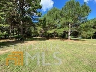 820 City Pond Road - Photo 2