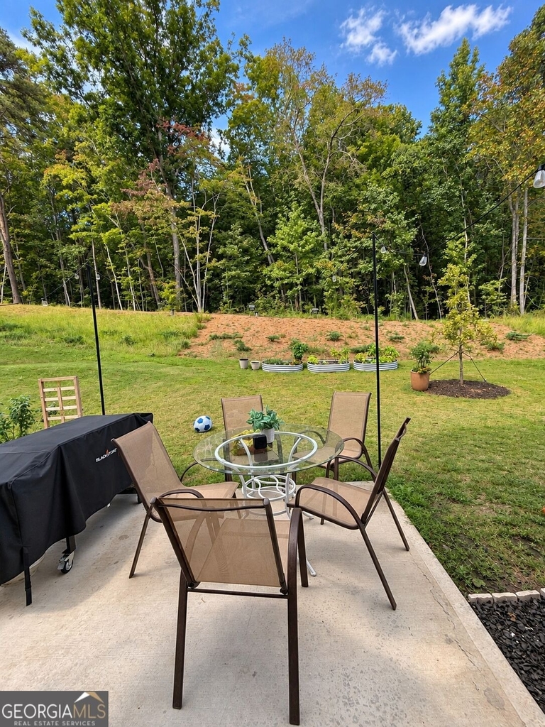 2945 Salinger Way - Photo 19