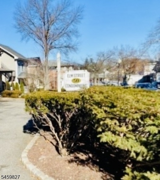 48 Elm St - Photo 1