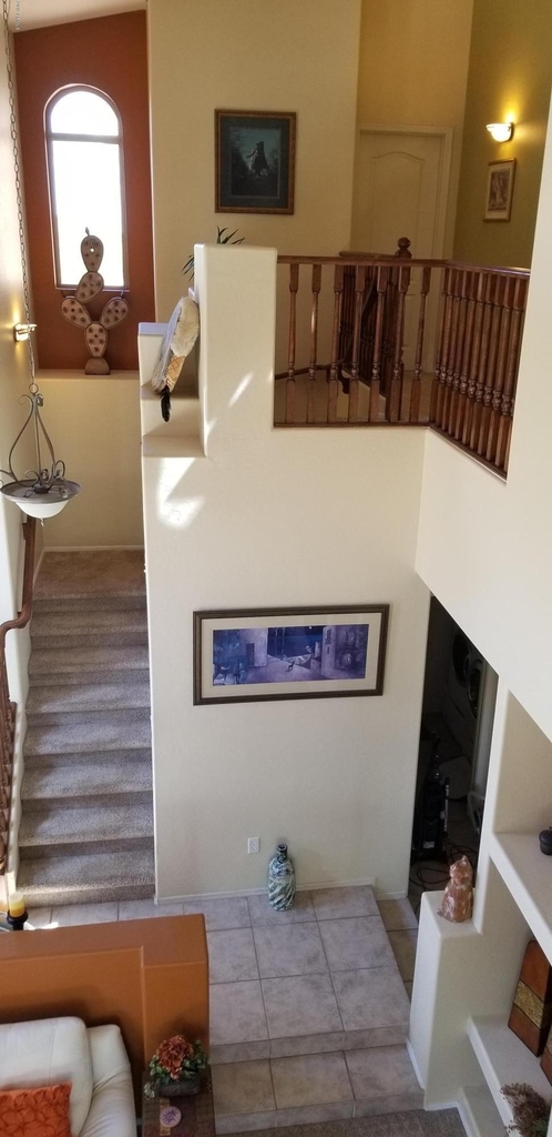 3531 N Paseo Del Sol -- - Photo 4