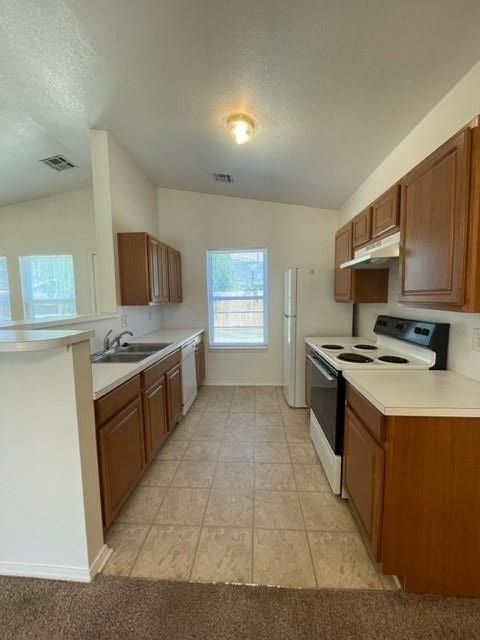 421 Poppy Lane - Photo 12