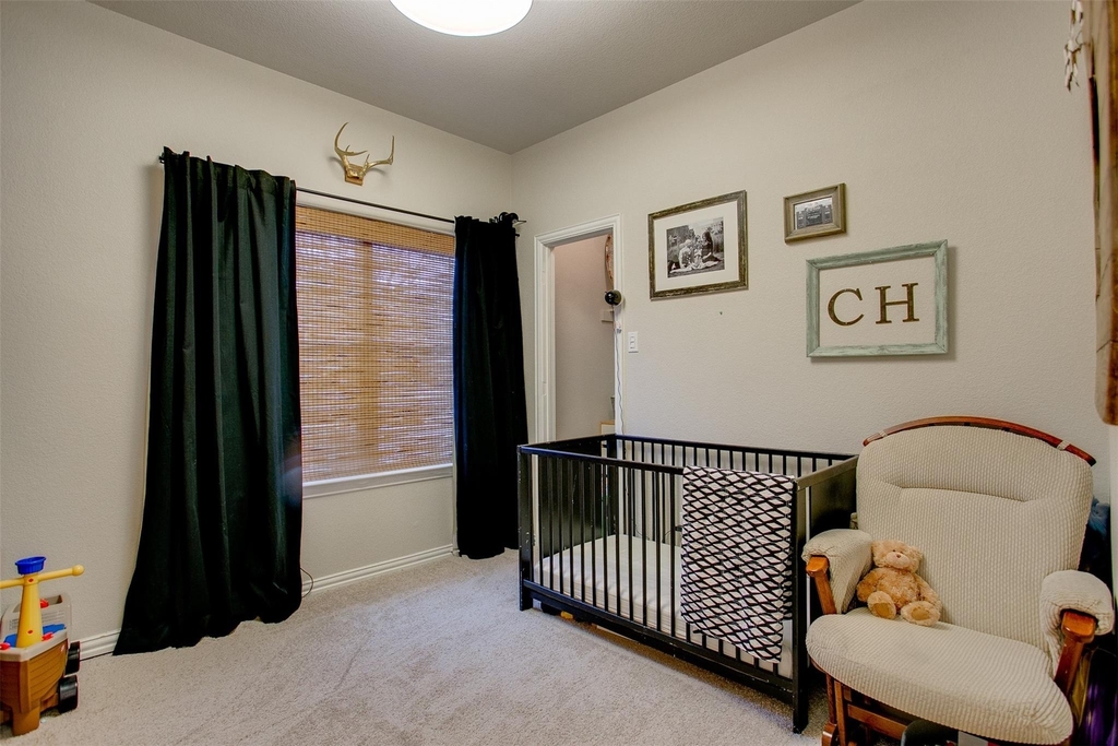 10228 Olivia Drive - Photo 3