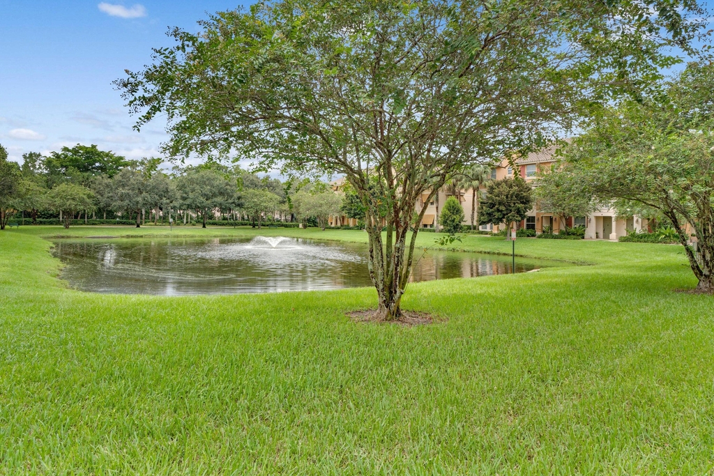 3933 Monarch Lane - Photo 4