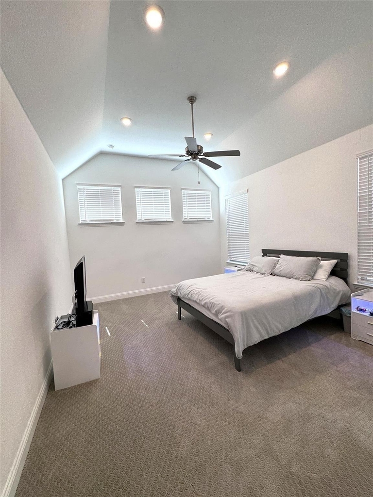 17305 Texas Pistache Drive - Photo 7
