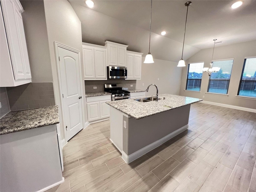 4008 Whitetail Lane - Photo 3