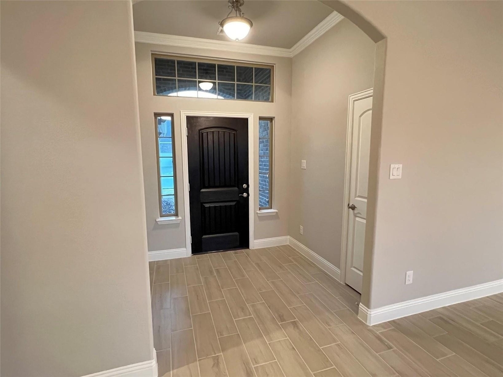 4008 Whitetail Lane - Photo 6