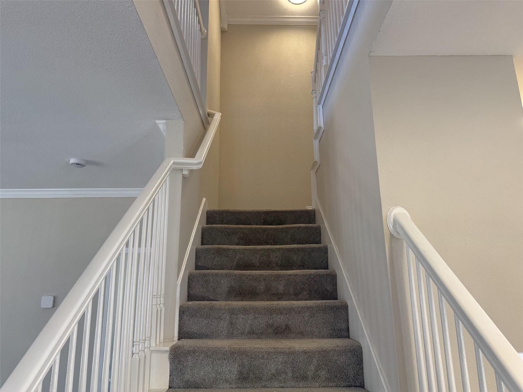 3204 Windridge Lane - Photo 27