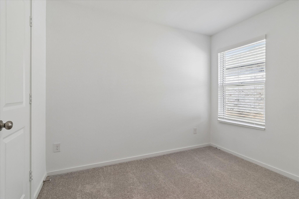 2532 Farrier Lane - Photo 9