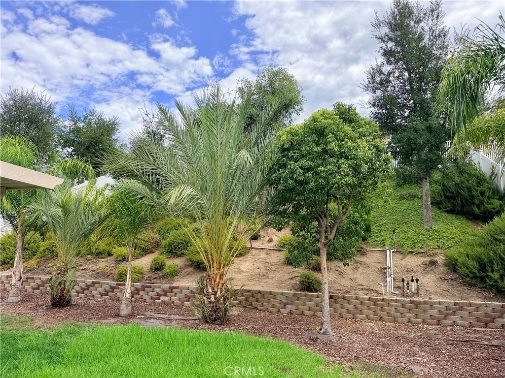 42538 Bradshaw - Photo 44