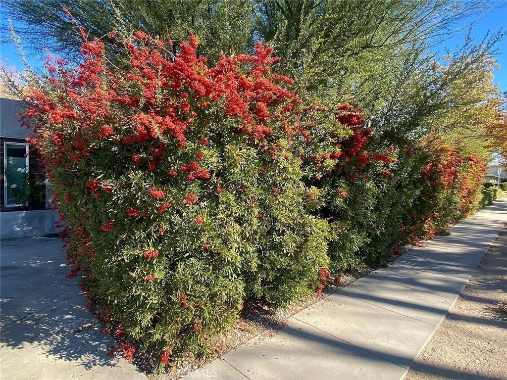44701 Fig Avenue - Photo 4
