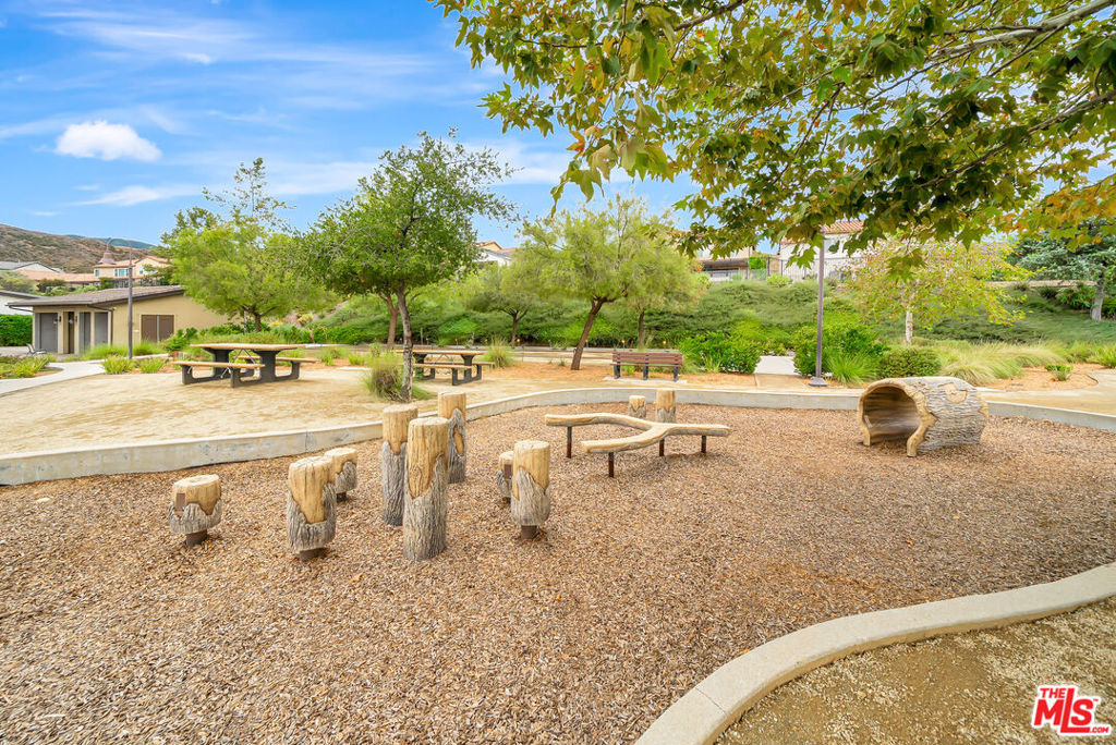 25151 Golden Maple Drive - Photo 59