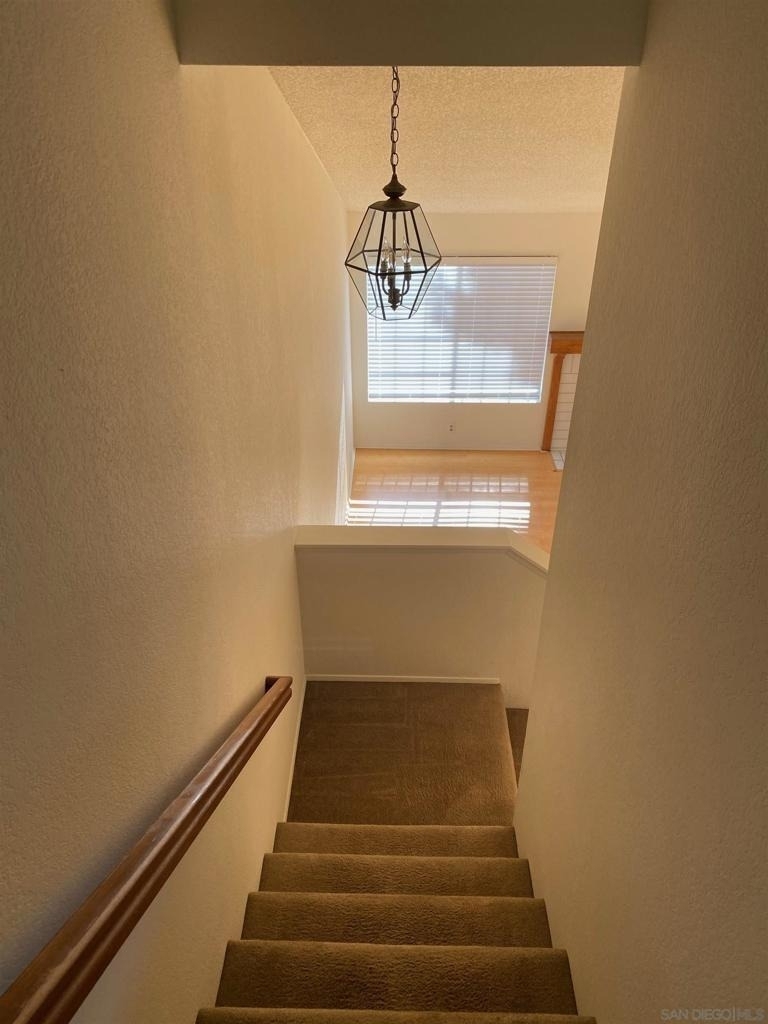 7608 Palmilla Dr - Photo 11