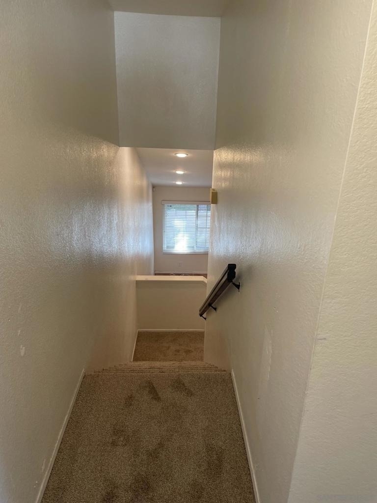 4250 Porte De Palmas - Photo 11