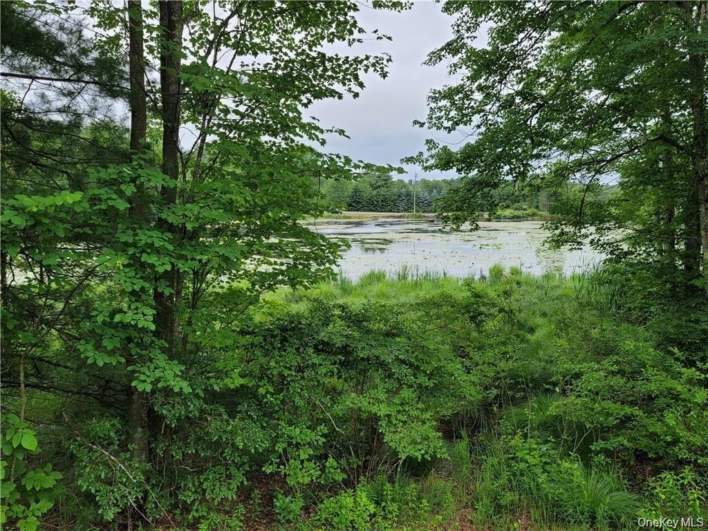 14 Lakeside Drive - Photo 21