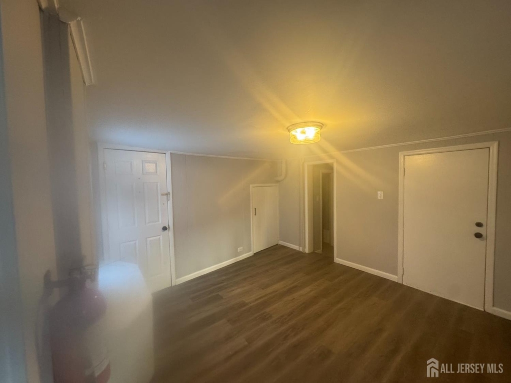 310 Somerset Street - Photo 1