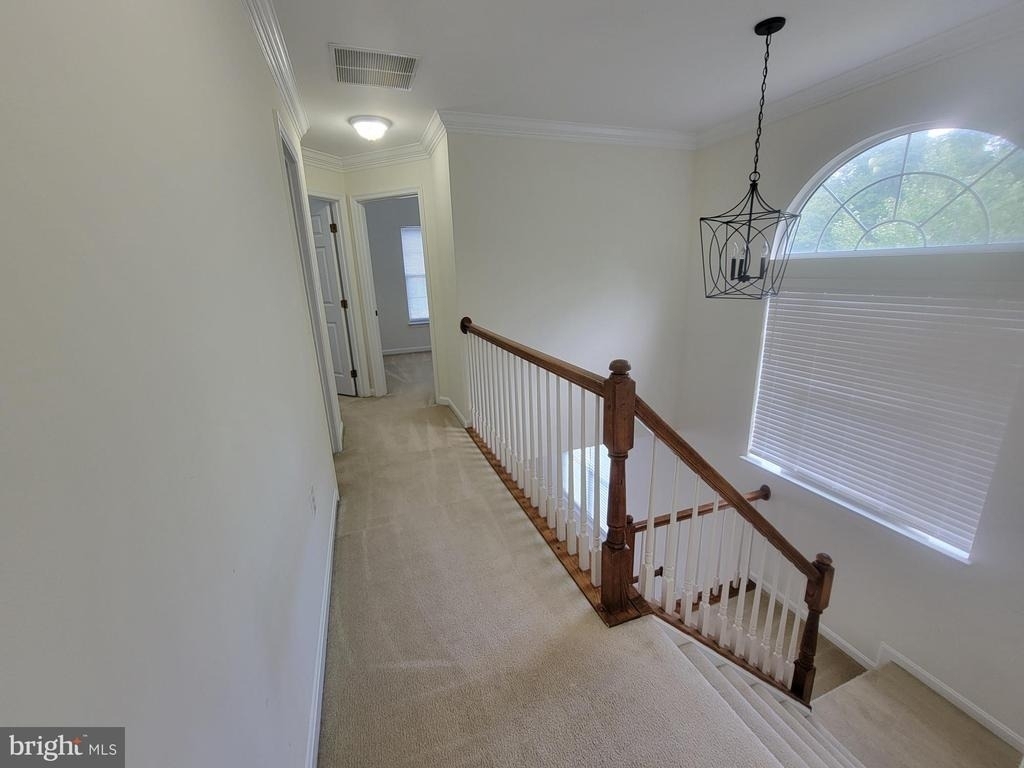20872 Ivymount Terrace - Photo 15