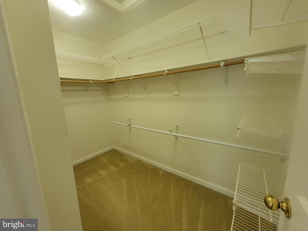 20872 Ivymount Terrace - Photo 10