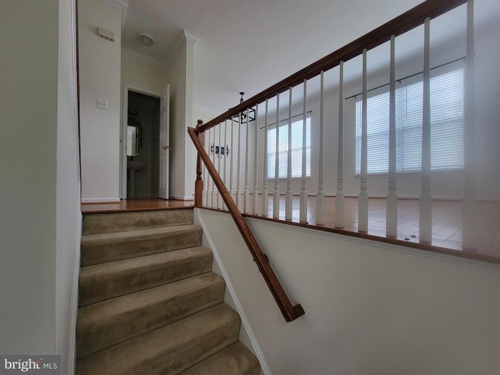 20872 Ivymount Terrace - Photo 3