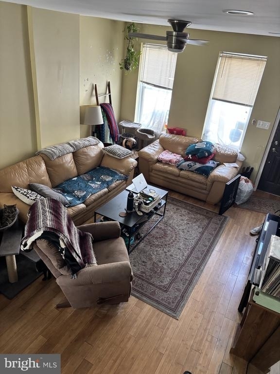 2659 Sepviva Street - Photo 1