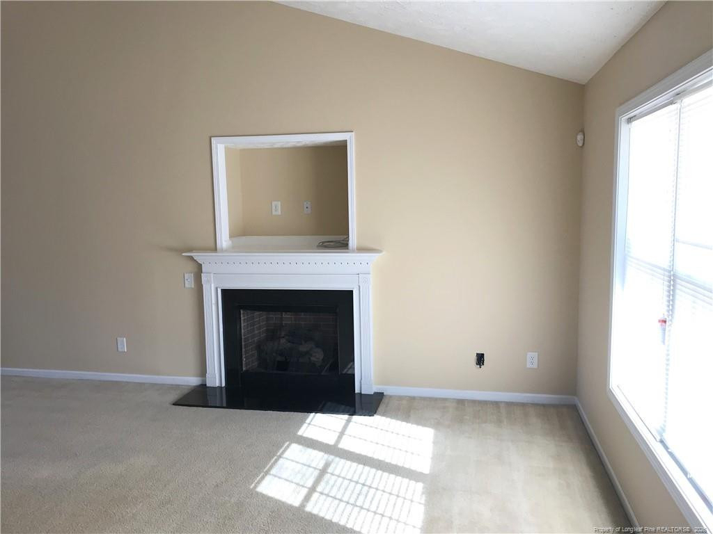 162 Andes Drive - Photo 5