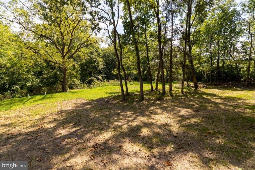 2315 Hickory - Photo 34