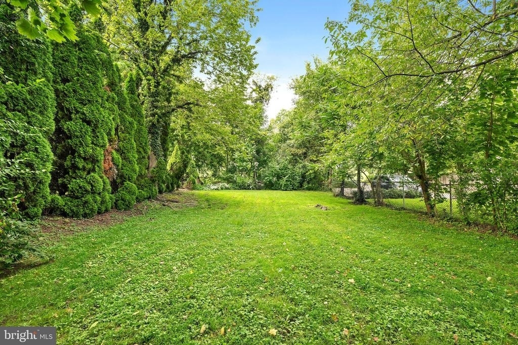 74 Spruce Street - Photo 13