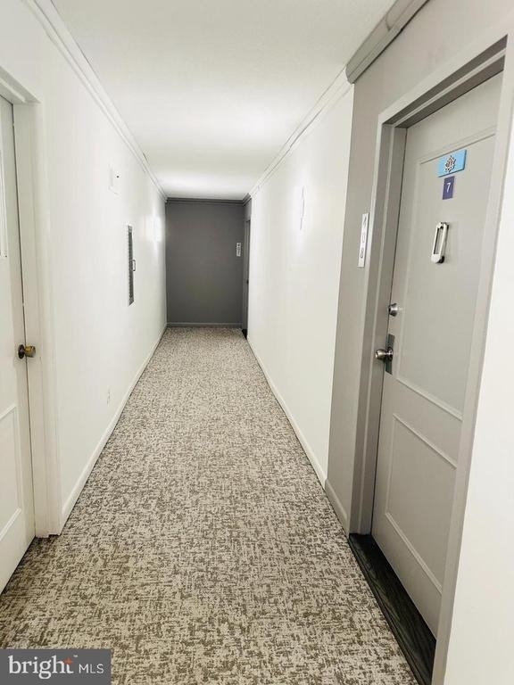 4 Monroe Street - Photo 8