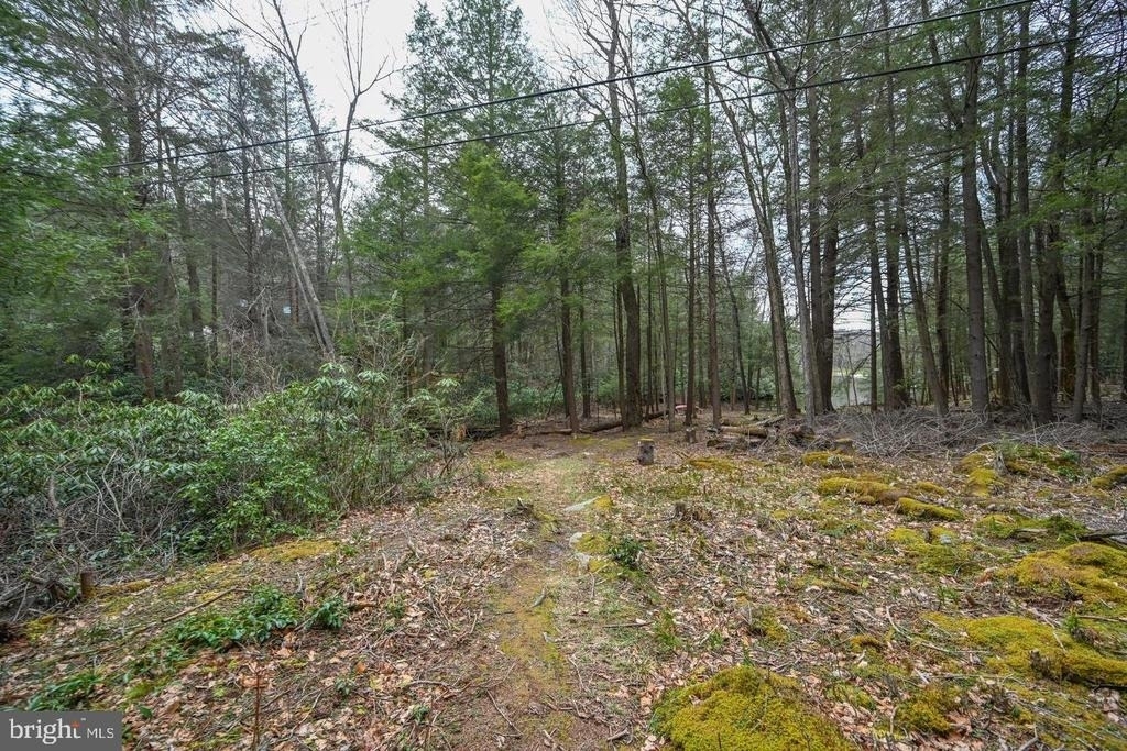 285 Lakeshore Drive - Photo 42