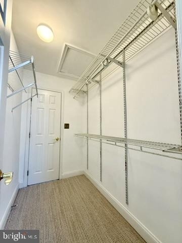 832 Stonehurst Court - Photo 18
