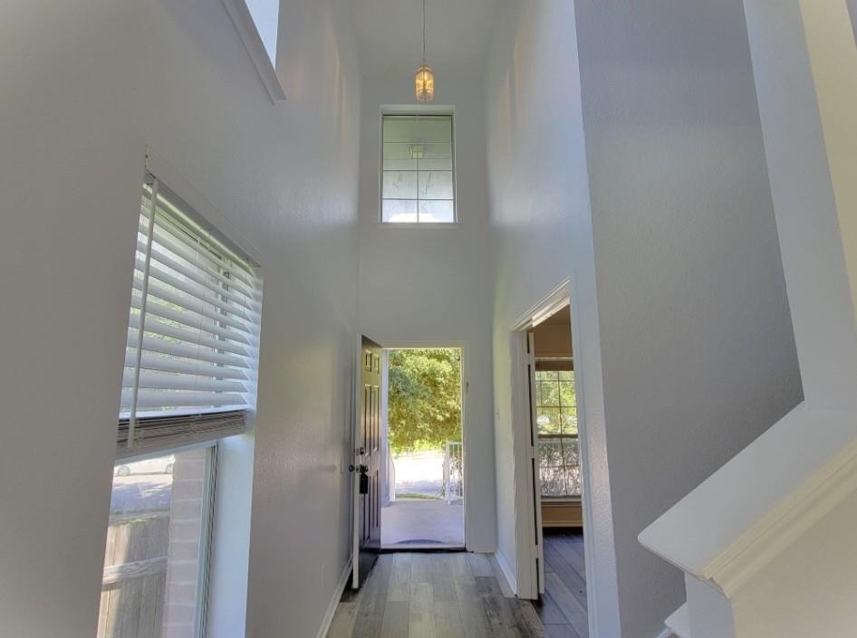 14813 Earl Grey Ln - Photo 2